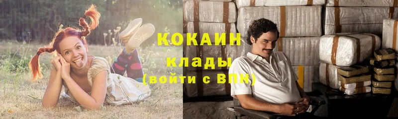 дарнет шоп  Костерёво  COCAIN 99% 